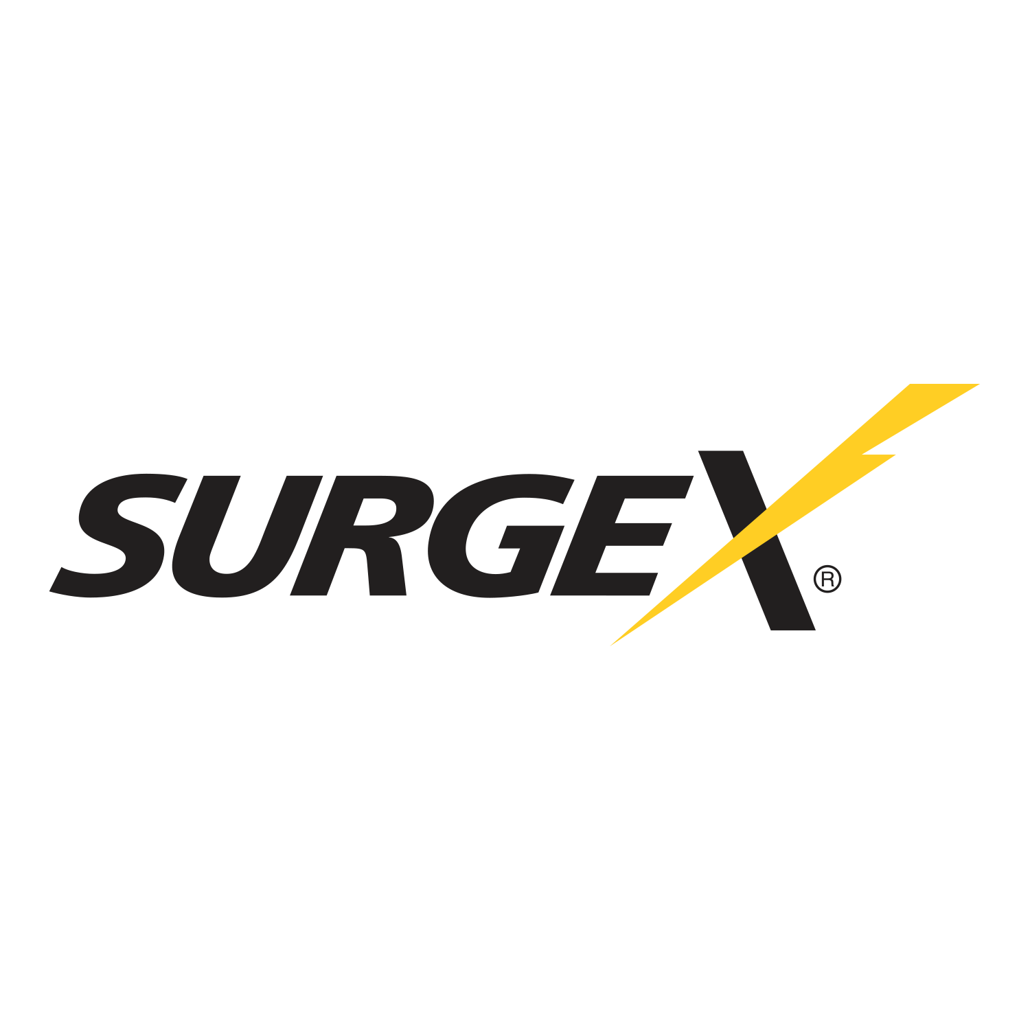 Logo Surgex