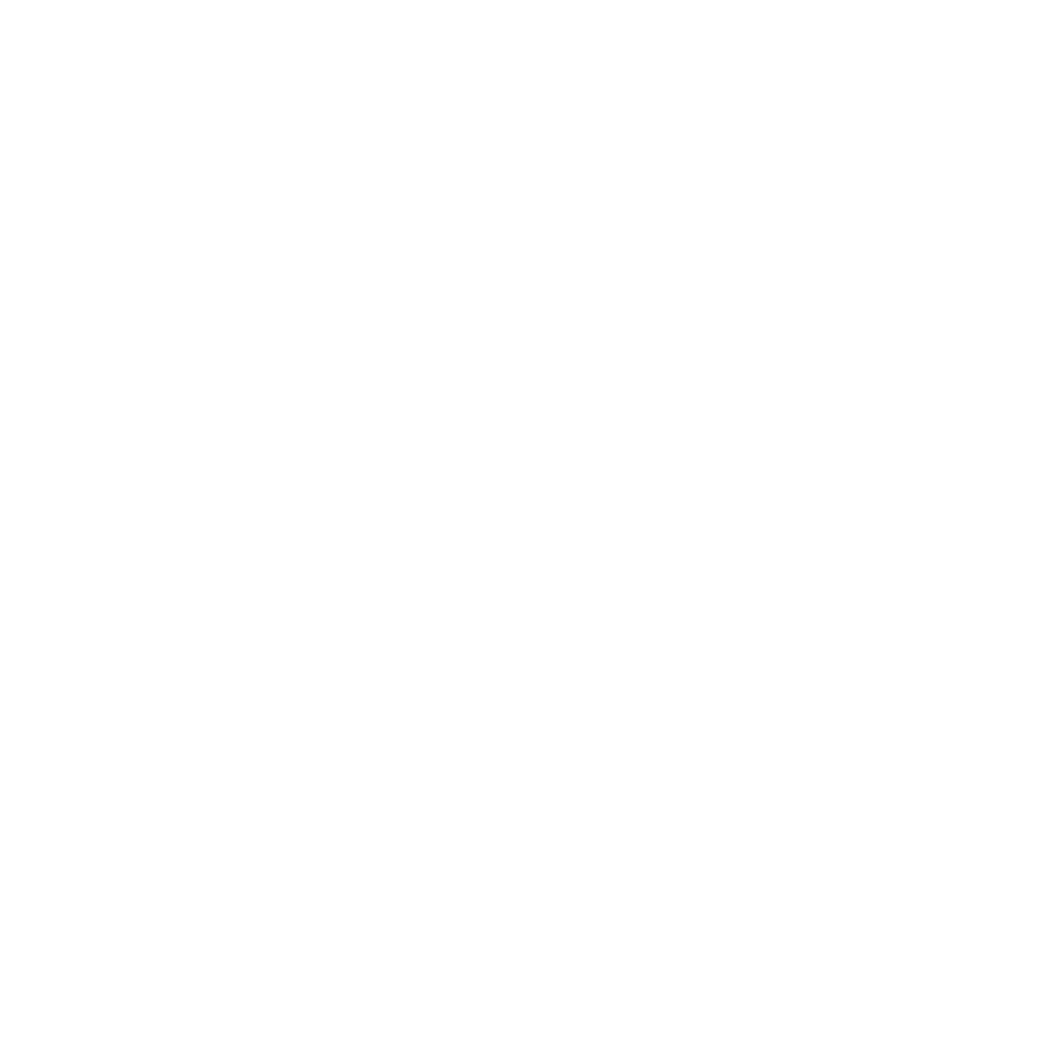 Logo Martin Logan